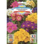Примула садова Первоцвіт суміш /0,11 г/ *Garden Elite*