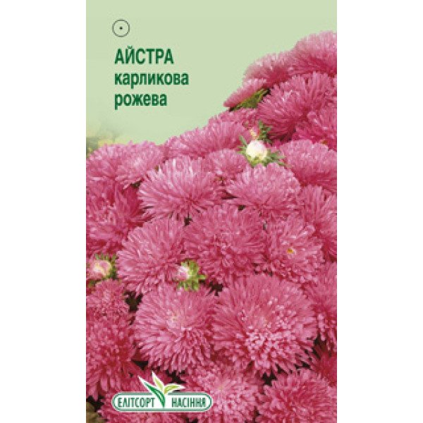 Насіння айстри карликової рожевої /0,2 г/ *ЕлітСорт*