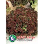 Салат Заграва /5 г/ *Galassi sementi*