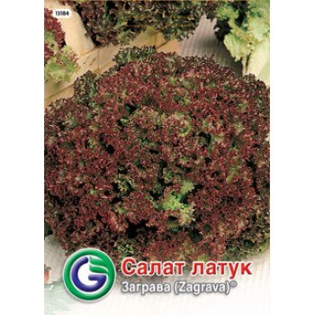 Салат Заграва /5 г/ *Galassi sementi*