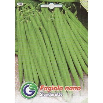 Квасоля слендеретте /20 г/ *Galassi sementi*