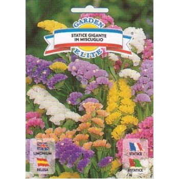 Статице Гвоздичный гигант смесь /0,4 г/ *Garden Elite*