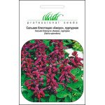Сальвия пурпурная /20 семян/ *Профессиональные семена*