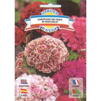 Гвоздика поетів суміш /1 г/ *Garden Elite*