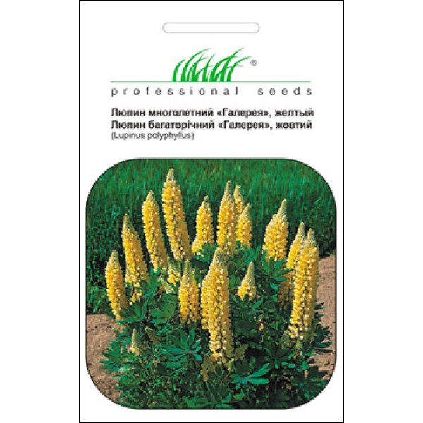 Семена люпина Фестиваль желтый /0,4 г/ *Профессиональные семена*