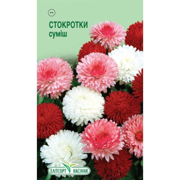 Насіння стокротки багаторічної суміш /0,05 г/ *ЕлітСорт*