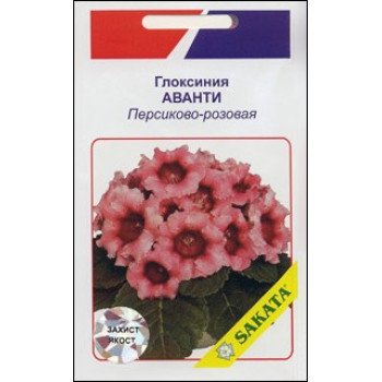 Глоксинія Аванті персиково-рожева /10 насінин/ *АгроПак*