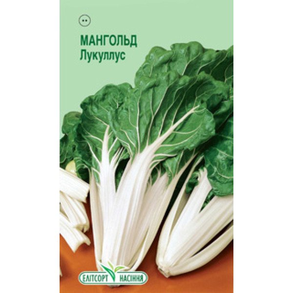 Насіння мангольда Лукуллус /1 г/ *ЕлітСорт*