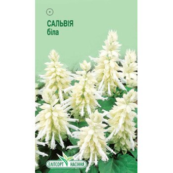 Шалфей блестящий белый /0,1 г/ *ЭлитСорт*