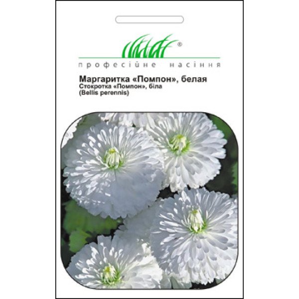 Насіння стокротки Помпон біла /0,01 г/ *Професійне насіння*