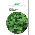 Кориандр /2 г/ *Профессиональные семена*