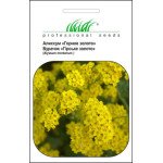 Бурачок Гмеліна Гірське золото /0,2 г/ *Професійне насіння*