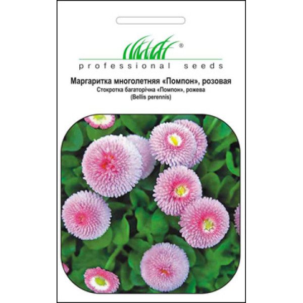 Семена маргаритки Помпон розовая /0,01 г/ *Профессиональные семена*