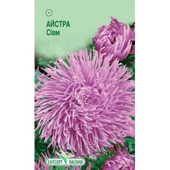 Астра Сиам /0,2 г/ *ЭлитСорт*