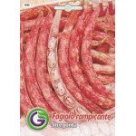 Квасоля стрегонта /20 г/ *Galassi sementi*
