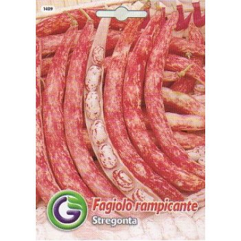 Квасоля стрегонта /20 г/ *Galassi sementi*
