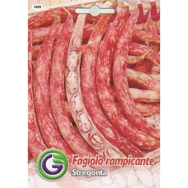 Семена фасоли стрегонта /20 г/ *Galassi sementi*