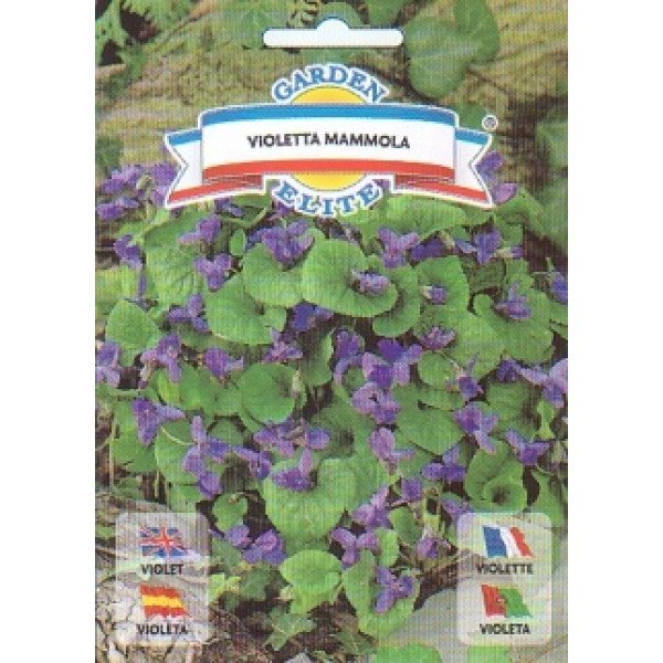 Віола ароматна /0,3 г/ *Garden Elite*