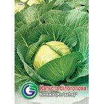 Капуста білоголова Княжа /5 г/ *Galassi sementi*