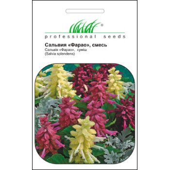 Сальвия Фарао смесь /0,1 г/ *Профессиональные семена*