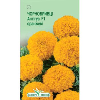 Чорнобривці Антігуа F1 помаранчевий /5 насінин/ *ЕлітСорт*