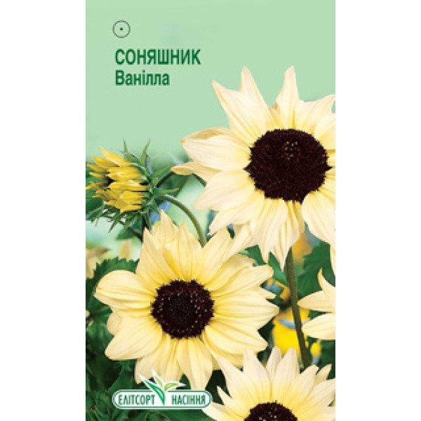 Семена Подсолнечника Ванилла белый /0,3 г/ *ЭлитСорт*