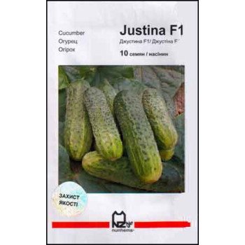 Огірок Джустіна F1 /10 насінин/ *АгроПак*