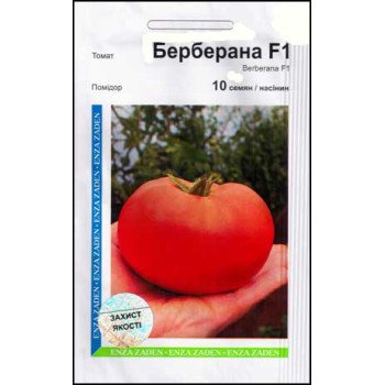 Томат Берберана F1 /10 насінин/ *АгроПак*