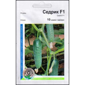 Огірок Седрик F1 /10 насінин/ *АгроПак*