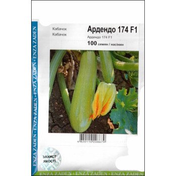 Кабачок Ардендо F1 /100 насінин/ *АгроПак*