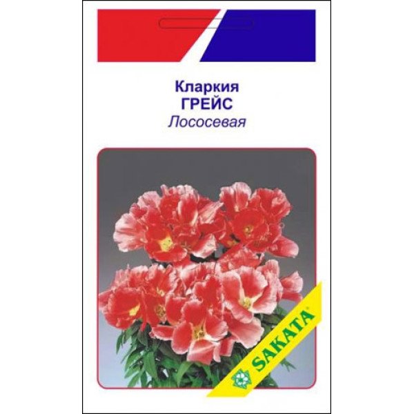 Кларкія Грейс лососева /10 насінин/ *АгроПак*