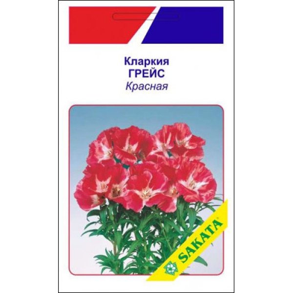 Кларкія Грейс червона /10 насінин/ *АгроПак*