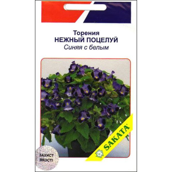 Торения Нежный Поцелуй синяя с белым /10 семян/ *АгроПак*