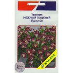 Торенія Ніжний Поцілунок бургунді /10 насінин/ *АгроПак*