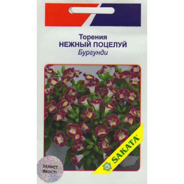 Торения Нежный Поцелуй бургунди /10 семян/ *АгроПак*