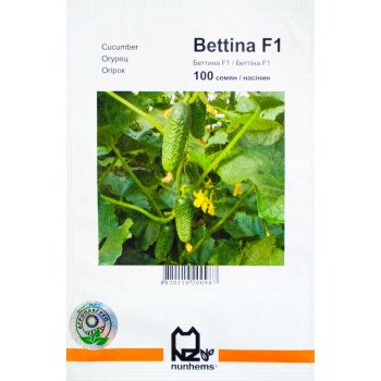 Огірок Бетіна F1 /100 насінин/ *АгроПак*
