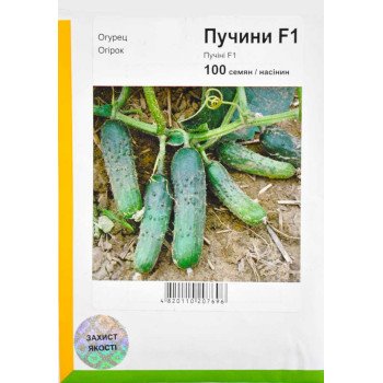 Огурец Пучини F1 /100 семян/ *АгроПак*