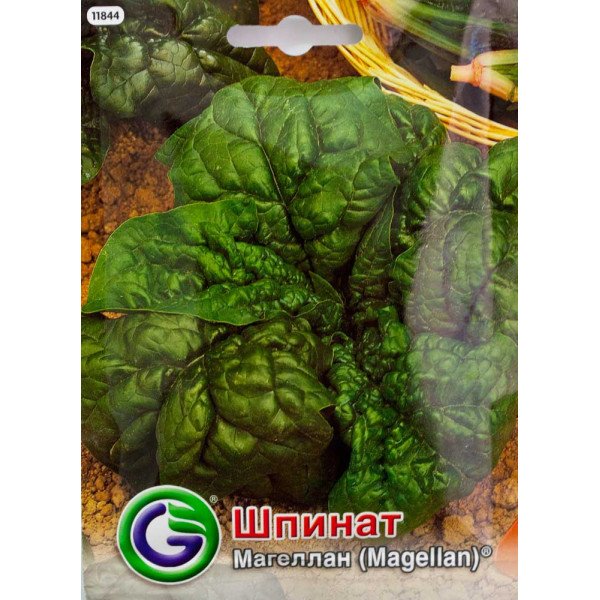 Насіння шпинату Маггелан /17 г/ *Galassi sementi*