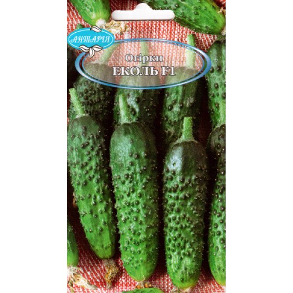 Насіння огірка Еколь F1 /15 насінин/ *Антарія*