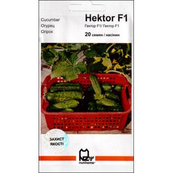 Огірок Гектор F1 /20 насінин/ *АгроПак*