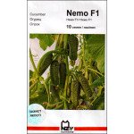 Огірок Немо (Сірін) F1 /10 насінин/ *АгроПак*