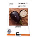 Баклажан Тірренія F1 /100 насінин/ *АгроПак*