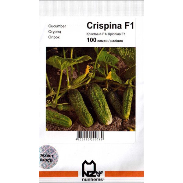 Насіння огірка Кріспіна F1 /100 насінин/ *АгроПак*