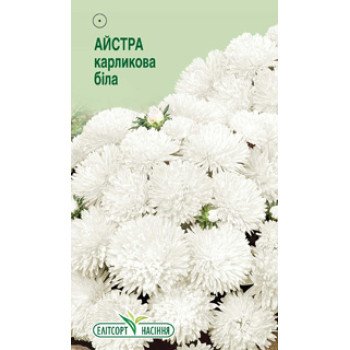 Астра карликовая белая /0,2 г/ *ЭлитСорт*