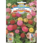 Цинія махрова карликова суміш /0,6 г/ *Garden Elite*