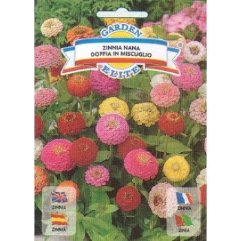 Цинія махрова карликова суміш /0,6 г/ *Garden Elite*