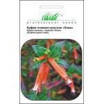 Куфея червона /0,05 г/ *Професійне насіння*