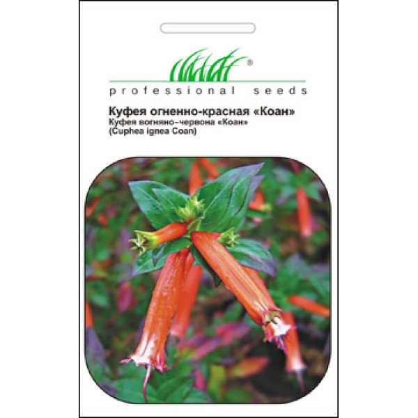 Семена куфеи красной /0,05 г/ *Профессиональные семена*