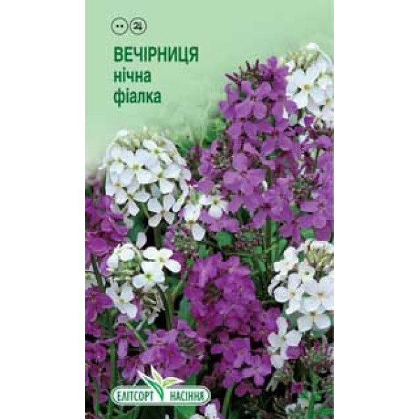 Насіння вечорниці Нічна фіалка /0,5 г/ *ЕлітСорт*