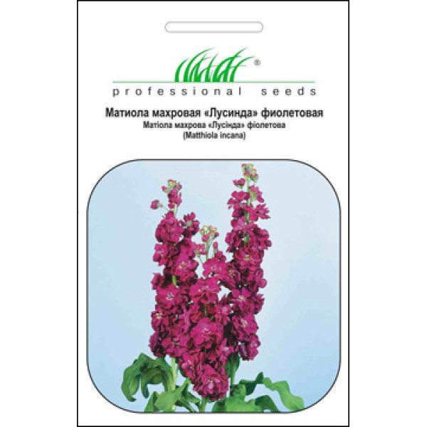 Семена матиолы Эксельсиор фиолетовая /0,1 г/ *Профессиональные семена*